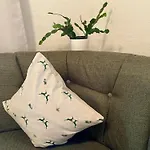 Homestay szállás Gaestehaus Holl Schattwald